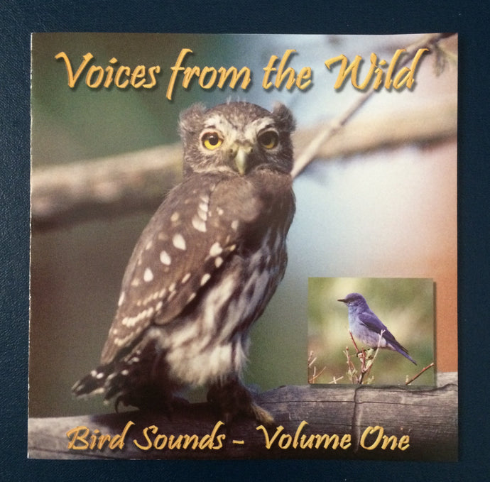 Voices from the Wild - Audio Download (Set of 4) 4