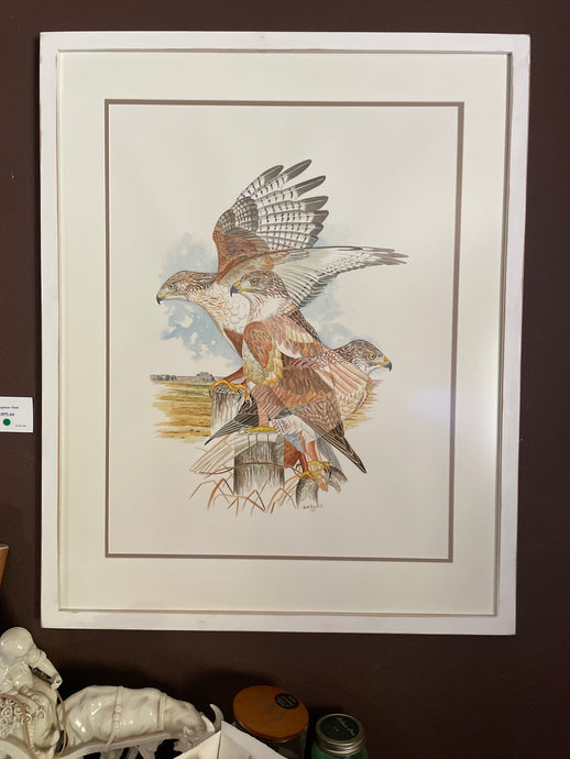 Framed Ferruginous Hawk  Original watercolor  approximately 24x30