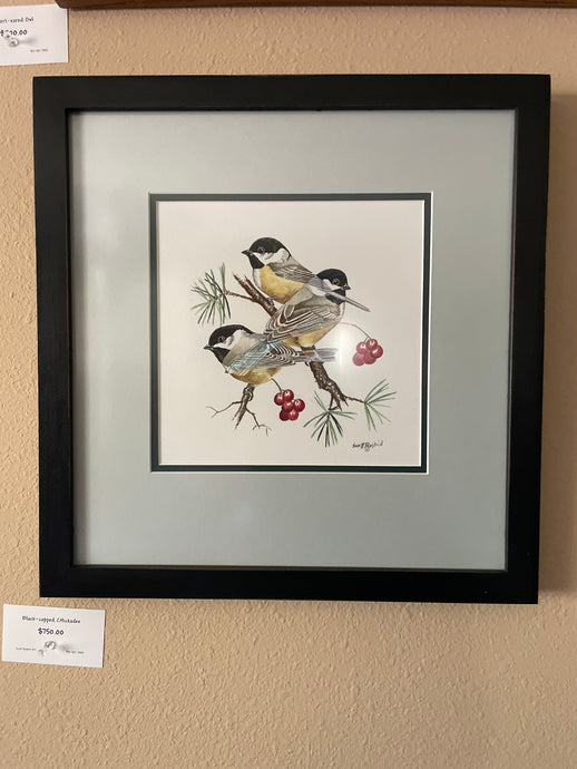 Framed Black-capped Chickadees (Original Watercolor)