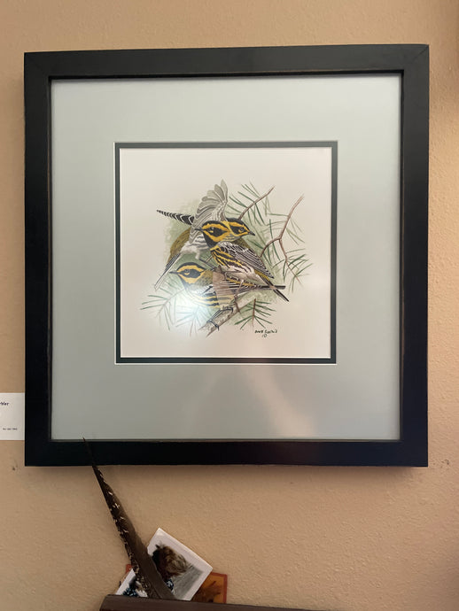 Framed Townsend's Warbler  Original Watercolor