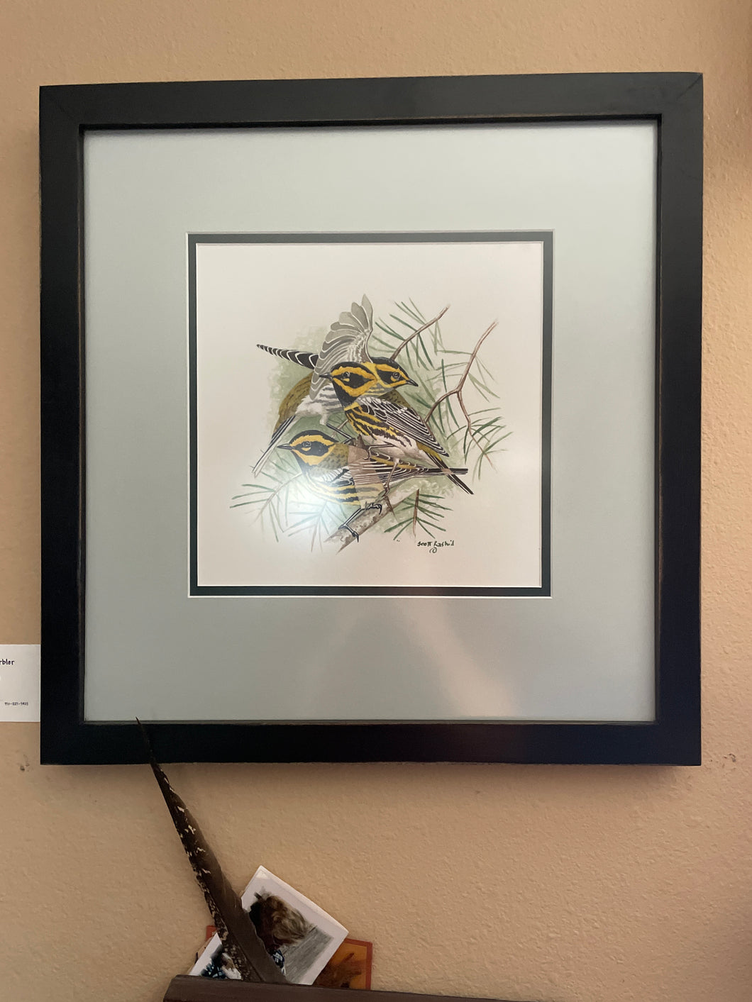 Framed Townsend's Warbler  Original Watercolor
