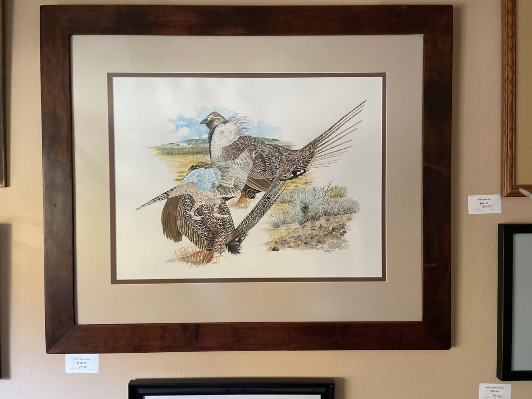 Greater Sage Grouse  Original Watercolor (Framed)