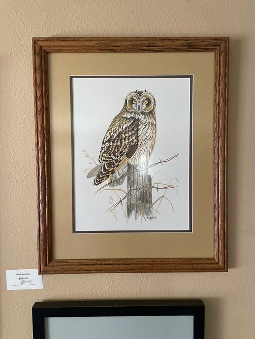 Framed Short-eared Owl  (Original Watercolor)
