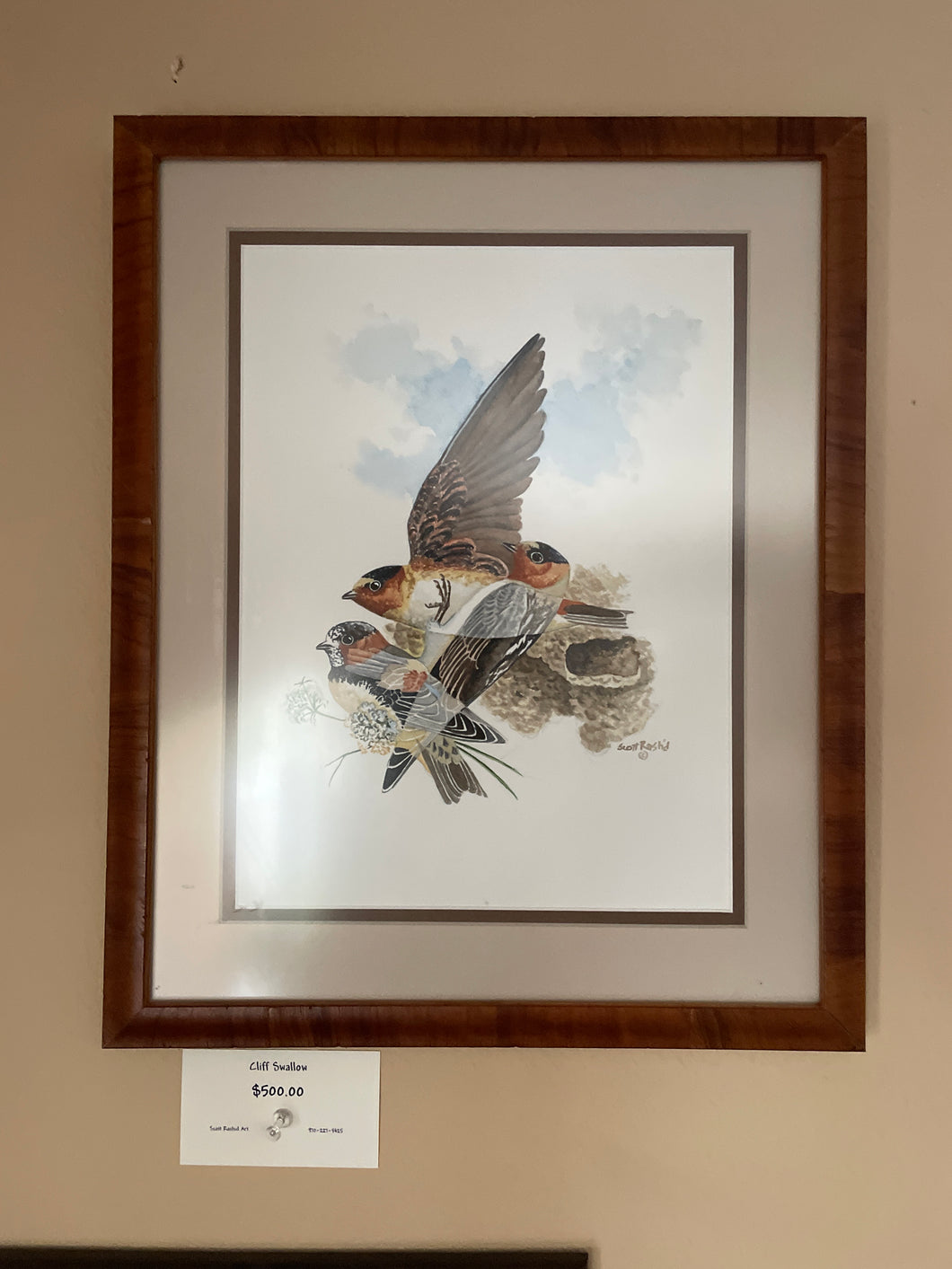 Framed Cliff Swallows (Original Watercolor)