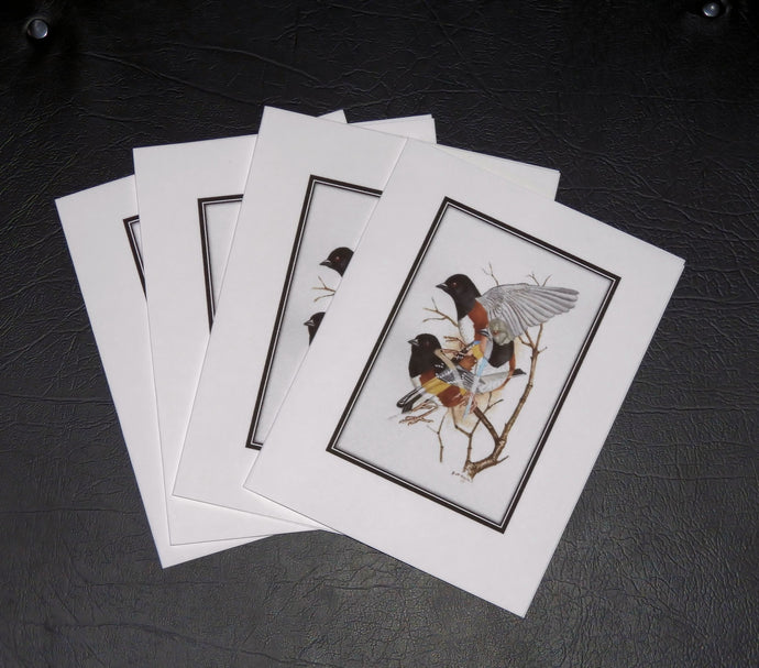 Spotted Towhee Card Set (set of 4)  4 x 5