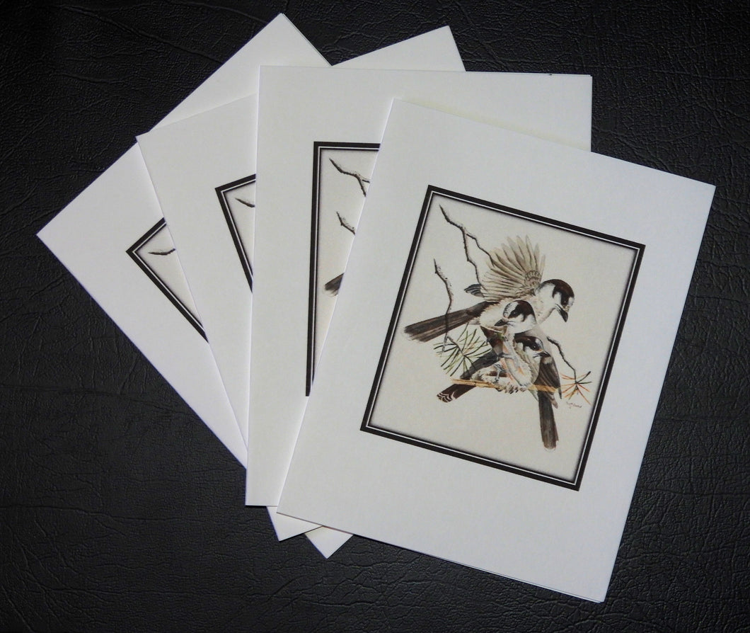 Canada Jay Card Set (Set of 4)  4 x 5