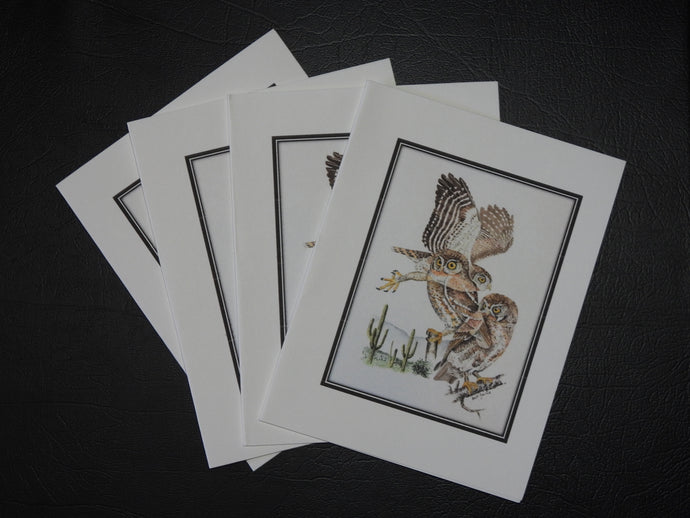 Elf Owl Card Pack (set of 4) 4 x 5