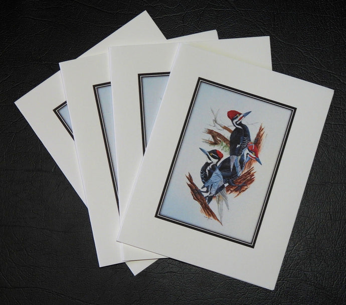 Pileated Woodpecker Card Pack (set of 4)  4 x 5