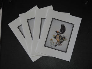 Bobolink Cards (Set of 4)  4 x 5