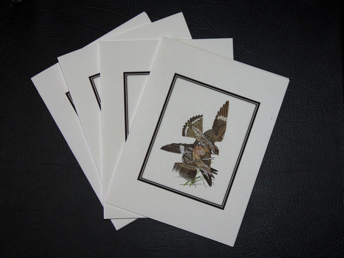 Common  Nighthawk Card Pack (4 Cards) 4 x 5