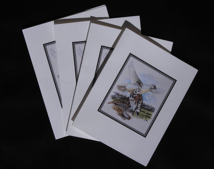 White-tailed Ptarmigan Card Pack (Set of 4) 4 x 5