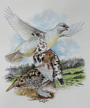 Load image into Gallery viewer, Framed White-tailed Ptarmigan