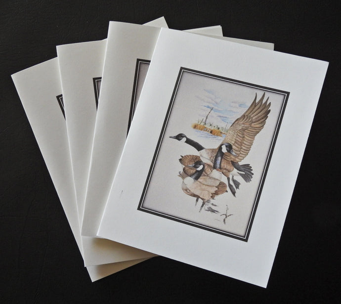 Canada Goose Card Pack (Set of 4) 4 x 5