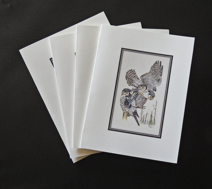 Northern Hawk Owl Card Pack (4 x 5)