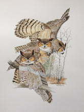 Load image into Gallery viewer, Great Horned Owl Bundle - Original Watercolor PLUS a Signed Copy of Great Horned Owls