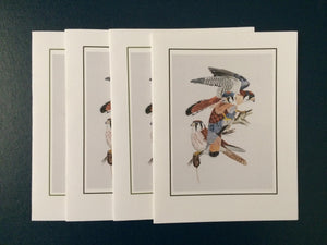 American Kestrel Card Pack (Set of 4) 4" x 5"