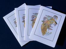Load image into Gallery viewer, Barn Owl Card Pack (Set of 4) 4&quot; x 5&quot;