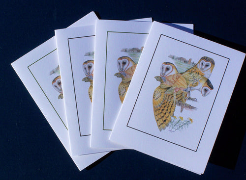 Barn Owl Card Pack (Set of 4) 4