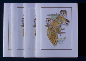 Barn Owl Card Pack (Set of 4) 4" x 5"