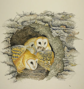 Barn Owlets Feeding (Original Watercolor) 8" x 8"