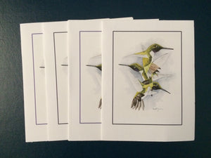 Black-chinned Hummingbird Card Pack (Set of 4) 4" x 5"