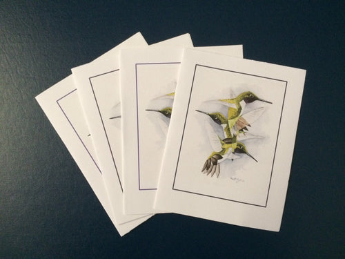 Black-chinned Hummingbird Card Pack (Set of 4) 4