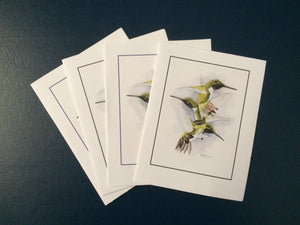 Black-chinned Hummingbird Card Pack (Set of 4) 4" x 5"