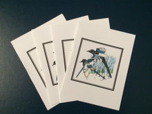 Load image into Gallery viewer, Black-billed Magpie Card Pack (Set of 4) 4&quot; x 5&quot;
