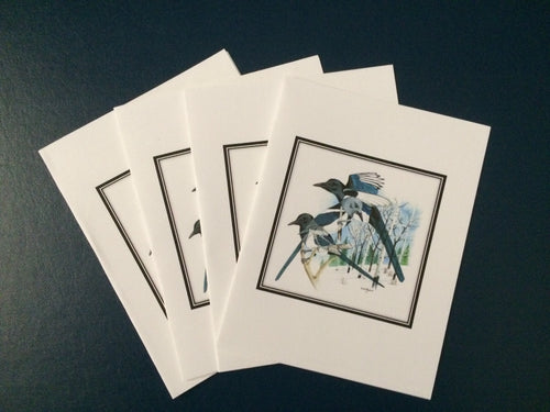Black-billed Magpie Card Pack (Set of 4) 4