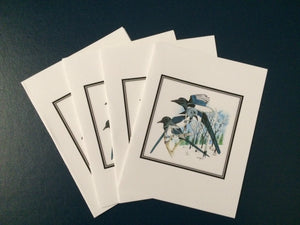 Black-billed Magpie Card Pack (Set of 4) 4" x 5"