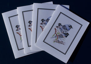 Black-Throated Gray Warbler Card Pack (Set of 4) 4" x 5"