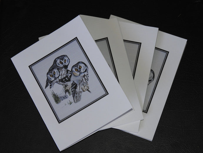 Boreal Owl Card Pack (Set of 4) 4 x 5