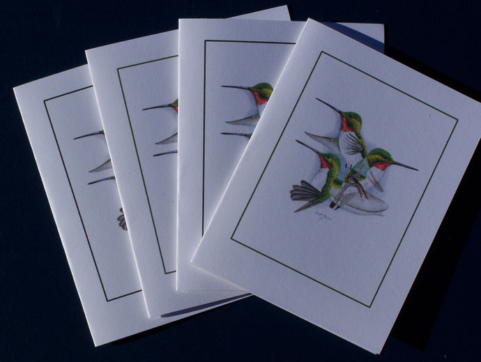 Broad-tailed Hummingbird Card Pack (Set of 4) 4