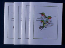 Load image into Gallery viewer, Broad-tailed Hummingbird Card Pack (Set of 4) 4&quot; x 5&quot;