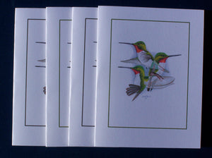 Broad-tailed Hummingbird Card Pack (Set of 4) 4" x 5"