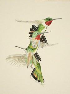 Broad-tailed Hummingbird (Original Watercolor) 4" x 10"