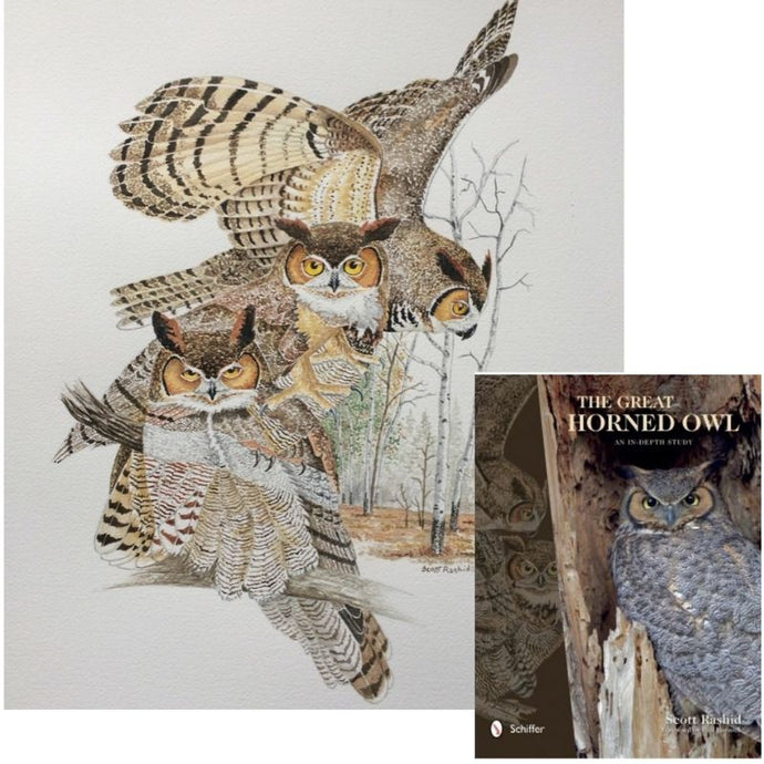 Great Horned Owl Bundle - Original Watercolor PLUS a Signed Copy of Great Horned Owls