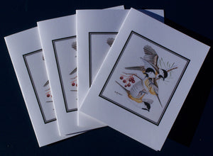 Black-capped Chickadee Card Pack (Set of 4) 4" x 5"