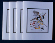 Load image into Gallery viewer, Black-capped Chickadee Card Pack (Set of 4) 4&quot; x 5&quot;