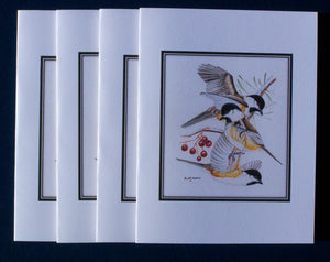 Black-capped Chickadee Card Pack (Set of 4) 4" x 5"