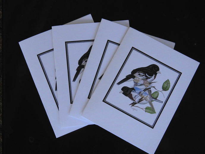 Rose-breasted Grosbeak Card Pack (Set of 4) 4 x 5