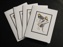 Load image into Gallery viewer, Golden-cheeked Warbler Card Pack (Set of 4) 4 x 5  $5.00
