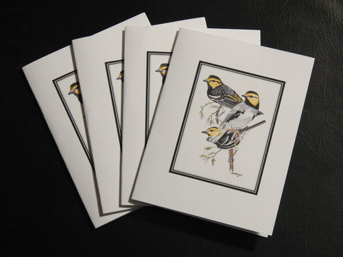 Golden-cheeked Warbler Card Pack (Set of 4) 4 x 5  $5.00