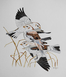 Snow Bunting (Original Watercolor)