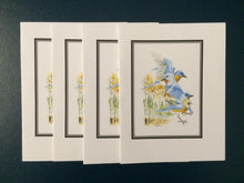 Load image into Gallery viewer, Eastern Bluebird Card Pack (Set of 4) 4&quot; x 5&quot;