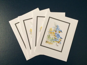 Eastern Bluebird Card Pack (Set of 4) 4" x 5"
