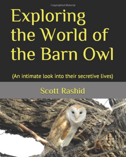 Book -- Exploring the World of the Barn Owl: (An intimate look into their secretive lives)