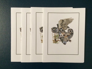 Flammulated Owl Card Pack (Set of 4) 4" x 5"