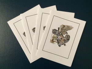 Flammulated Owl Card Pack (Set of 4) 4" x 5"