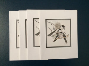 Canada Jay Card Pack (Set of 4) 4" x 5"